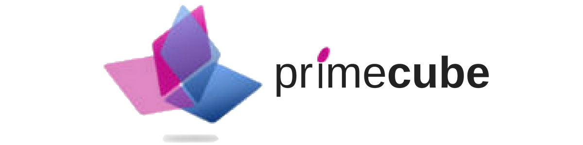 Business Intelligence /Analytics | PRIMECUBE